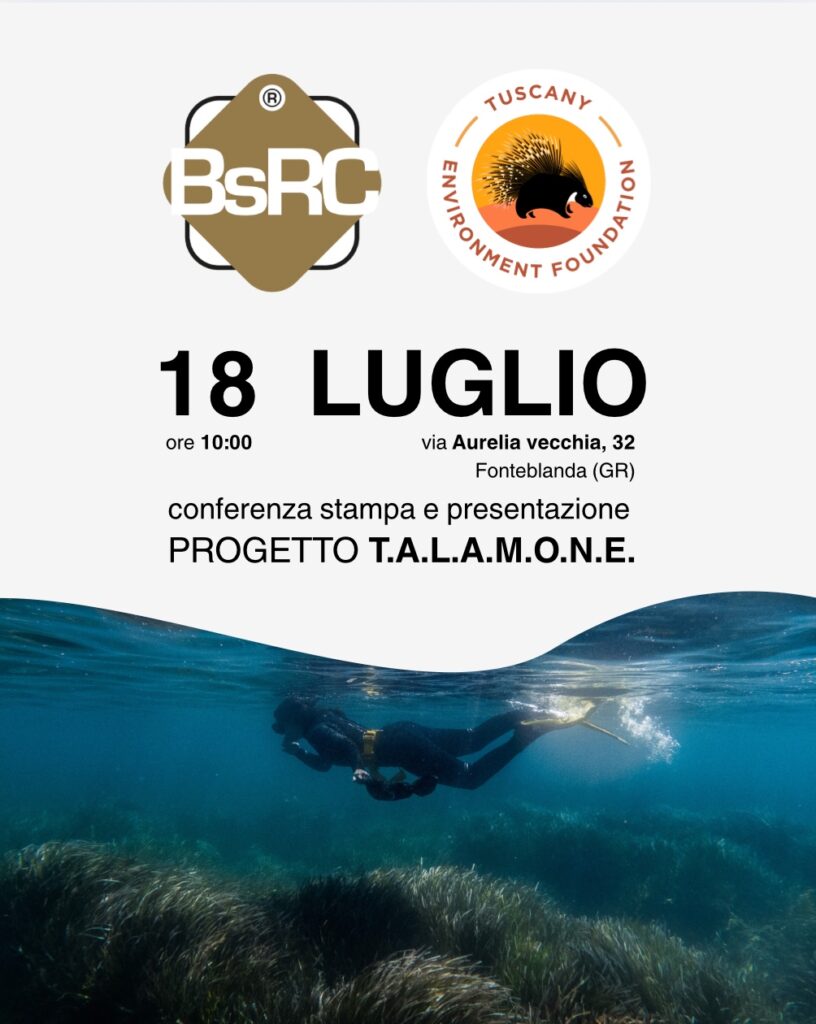 Attività marina